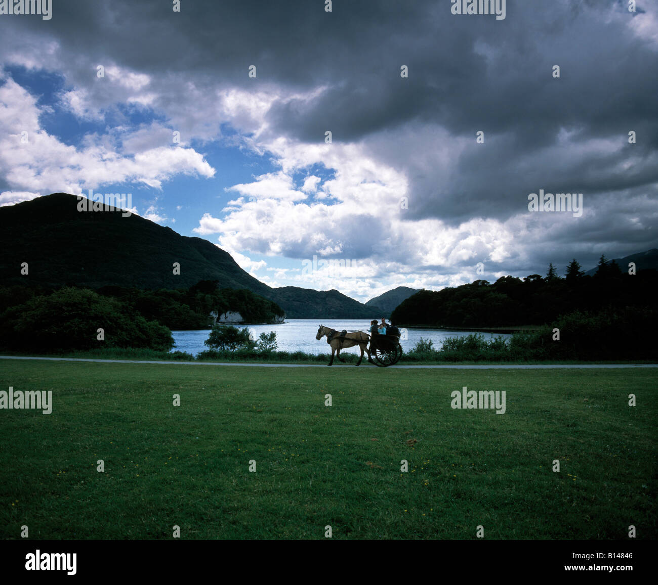ireland county kerry, killarney national park jaunting car Stock Photo Alamy