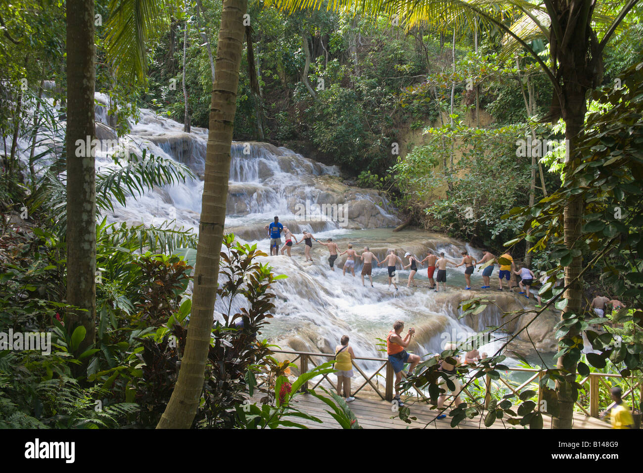 Dunns River Falls, Ocho Rios, Jamaica, Caribbean Stock Photo