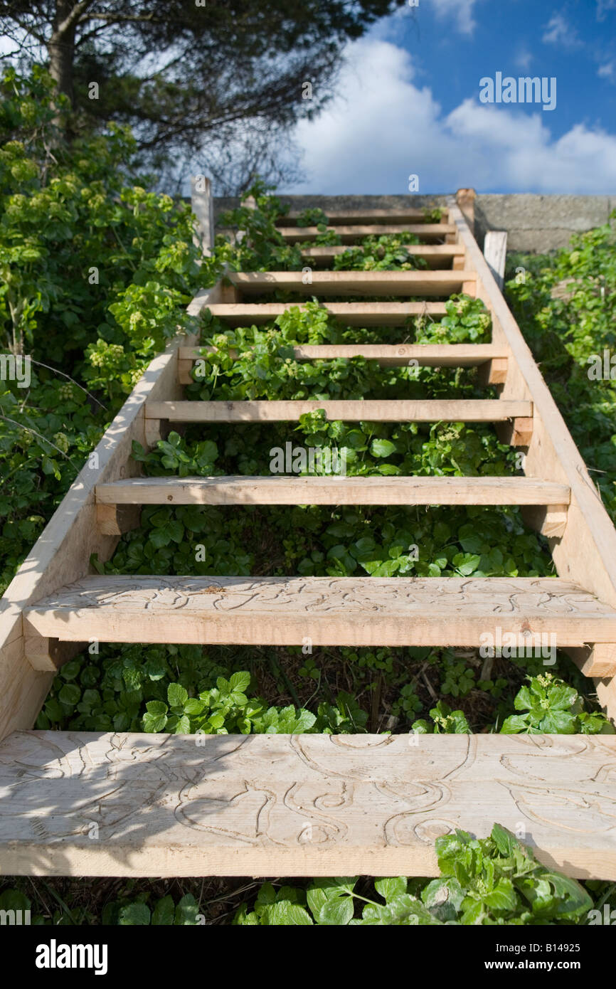 Wooden steps and overgrown weeds Stock Photo