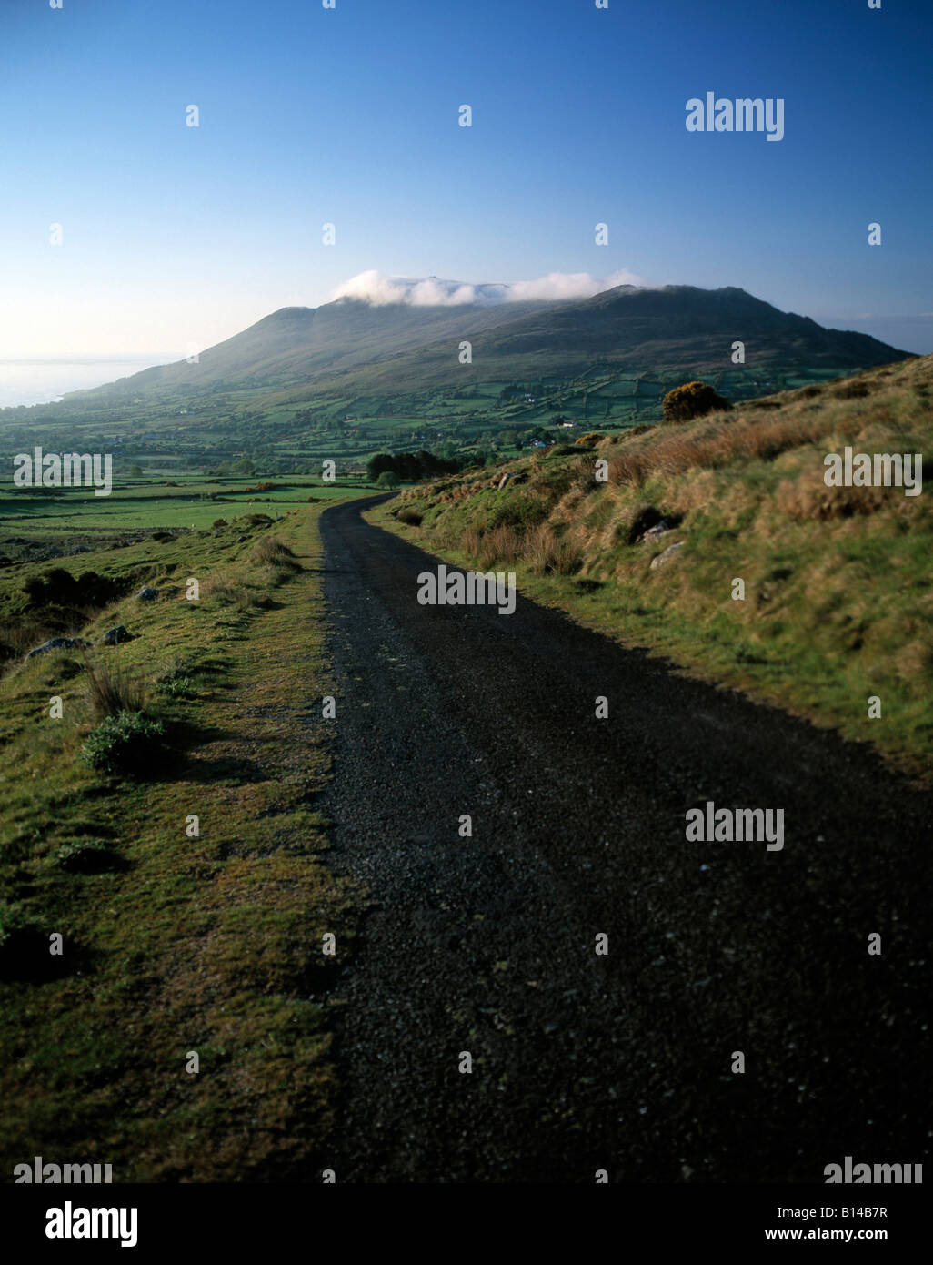 straight narrow road running down an irish mountain side on the cooley peninsula, Stock Photo