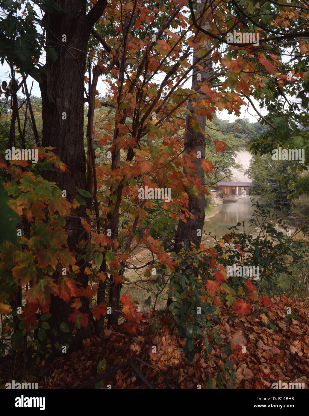 Fall Foliage with Covered Bridge Stock Photo - Alamy