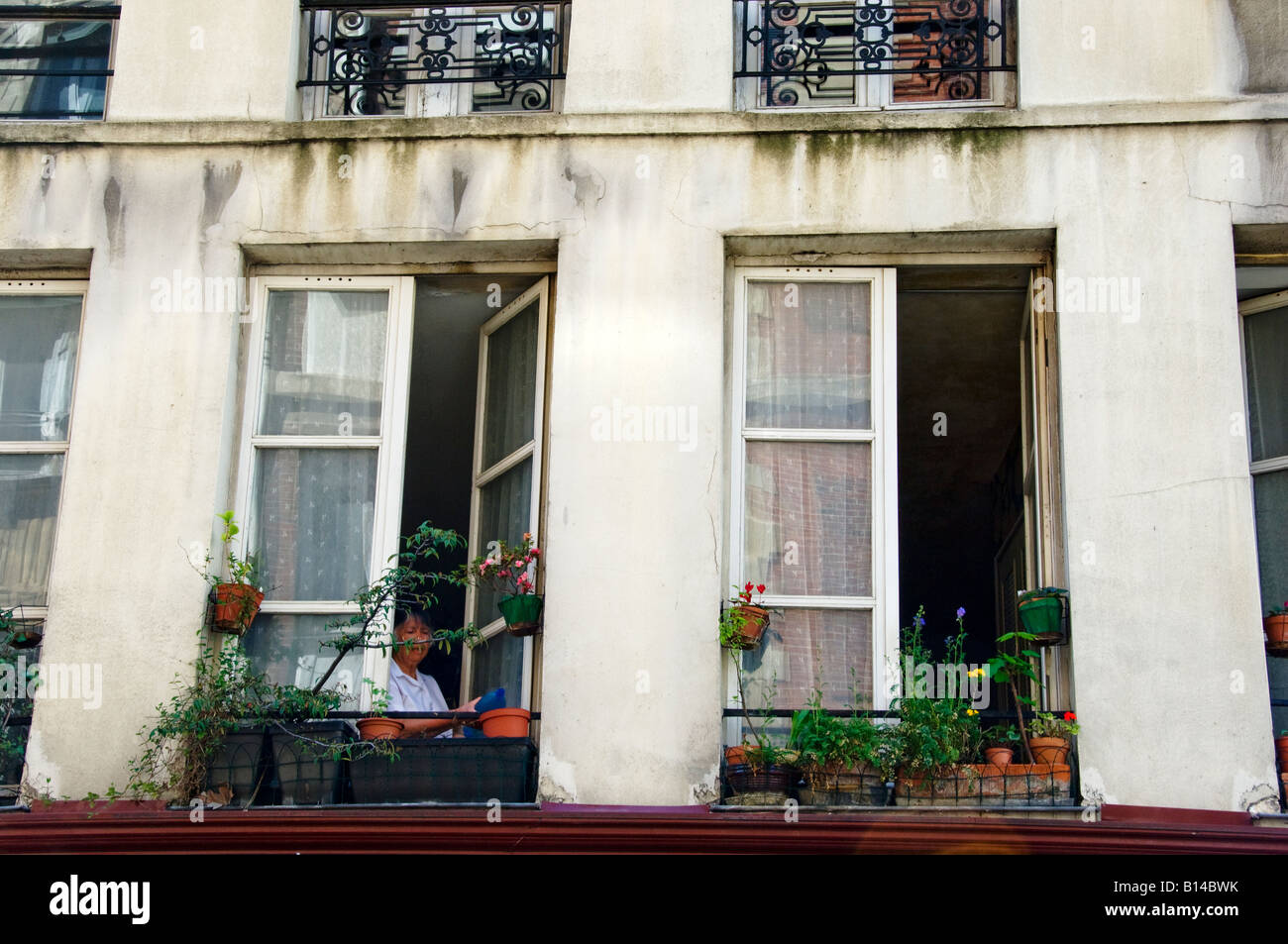 Woman watering plants out a window in a Paris apartment building. Stock Photo