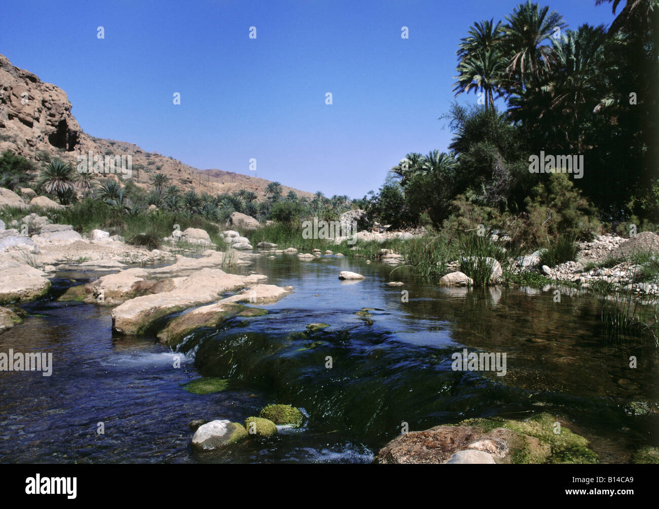 geography / travel, Oman, landscapes, Hajar Mountains, active wadi Bani