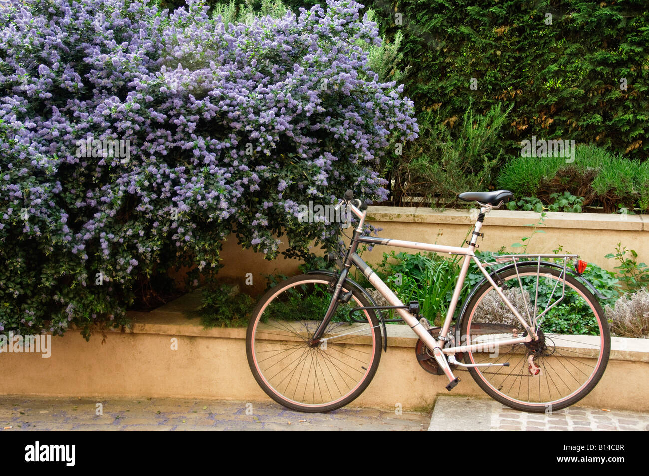 Bike on the street in Paris Stock Photo Alamy