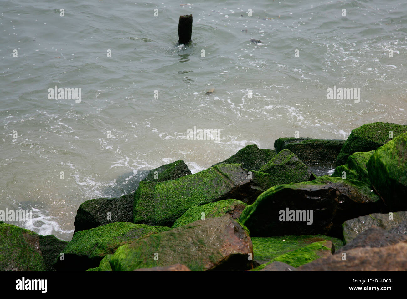 Fort Kochi Beach In Kerala India Stock Photo 17923047 Alamy - 