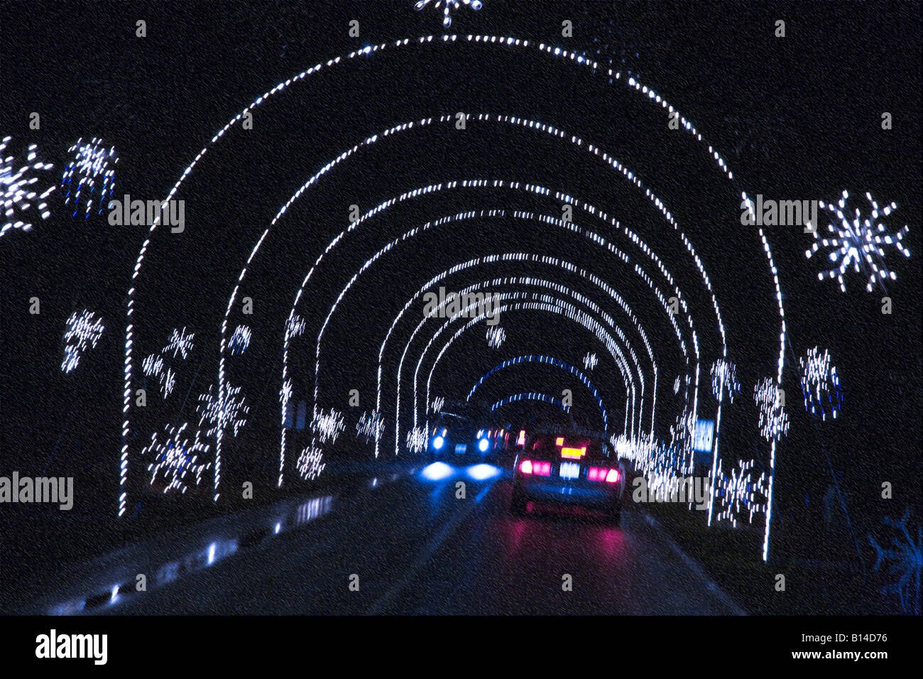 Section of the winter lights display at Seneca Creek State Park in Gaithersburg, Maryland.  Blizzard effect applied in Photoshop Stock Photo