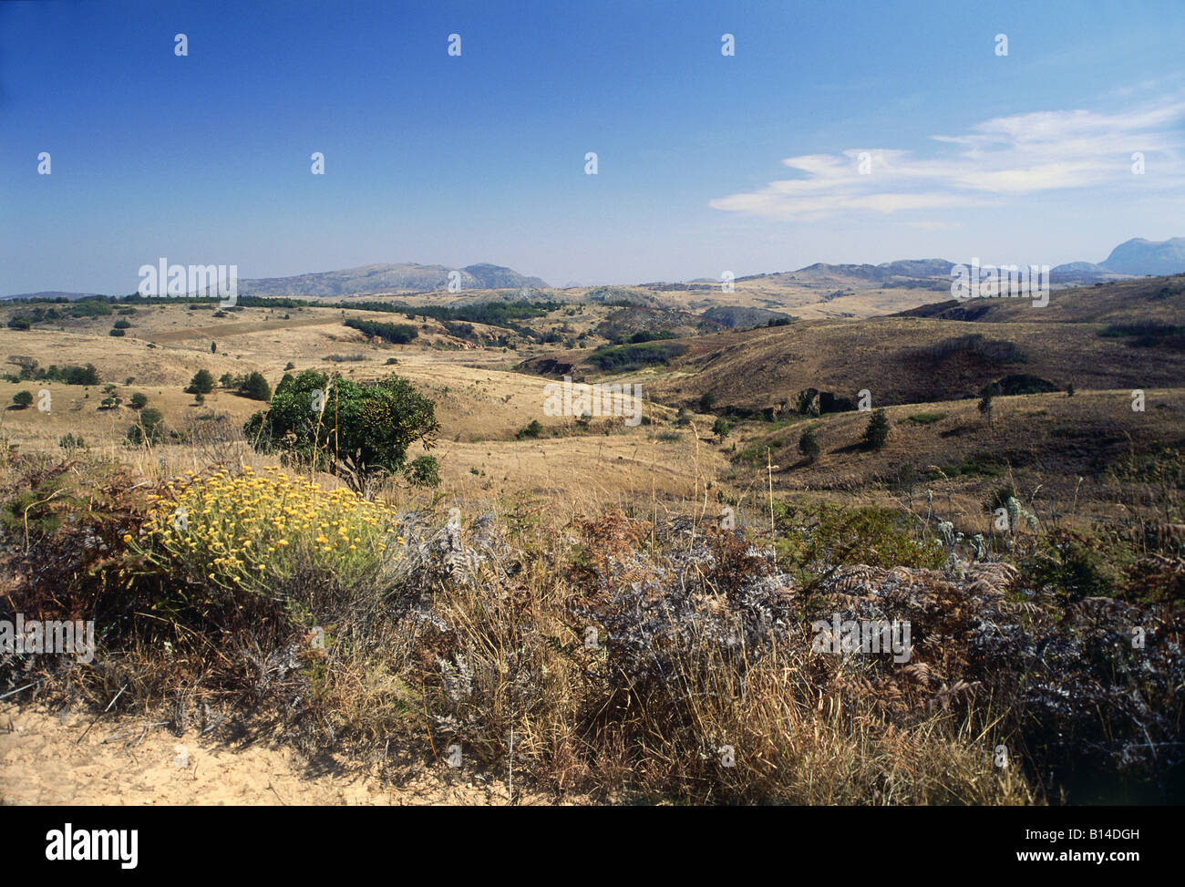 geography / travel, Zimbabwe, landscapes, savannah in Eastern Stock