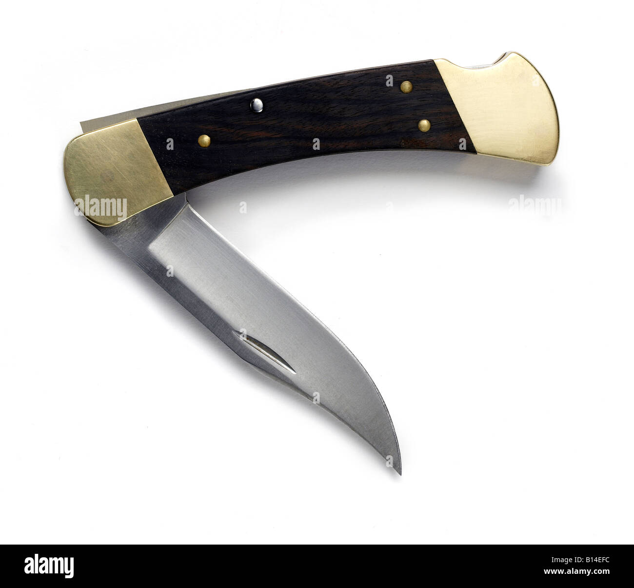 Polish presentation hunting knife with etched blade with forest scene and  inscribed DARZ BOR (traditional greeting of Polish hunters), etched buck  h Stock Photo - Alamy