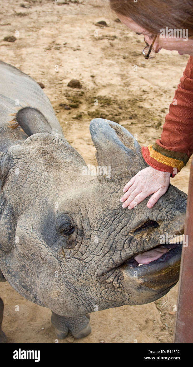 Rhinoceros teeth hi-res stock photography and images - Page 2 - Alamy Rhinoceros teeth hi-res stock photography and images - Page 2 - Alamy