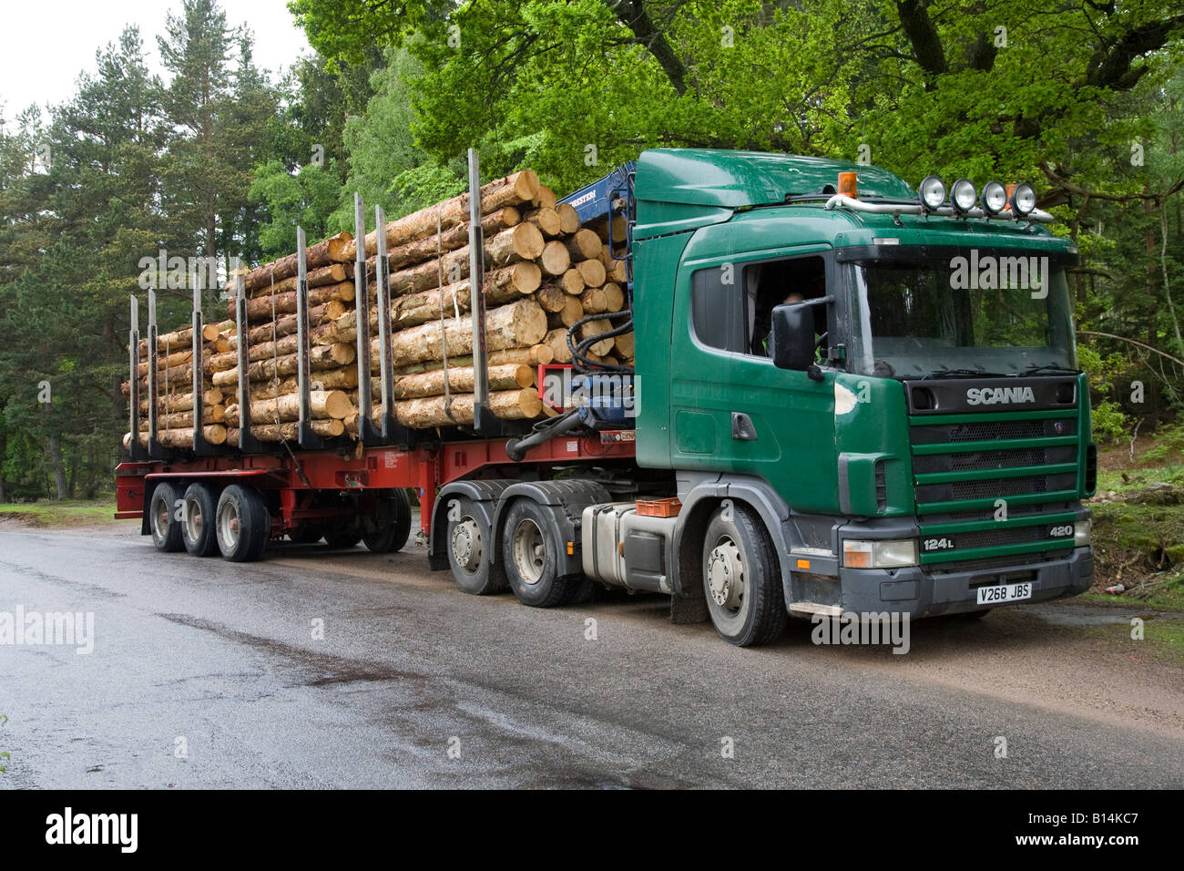 James Jones Ltd forest timber transport Scania vehicle; logging truck, trucking & haulage trailers at Dinnet, Cairngorms National Park, Scotland UK Stock Photo