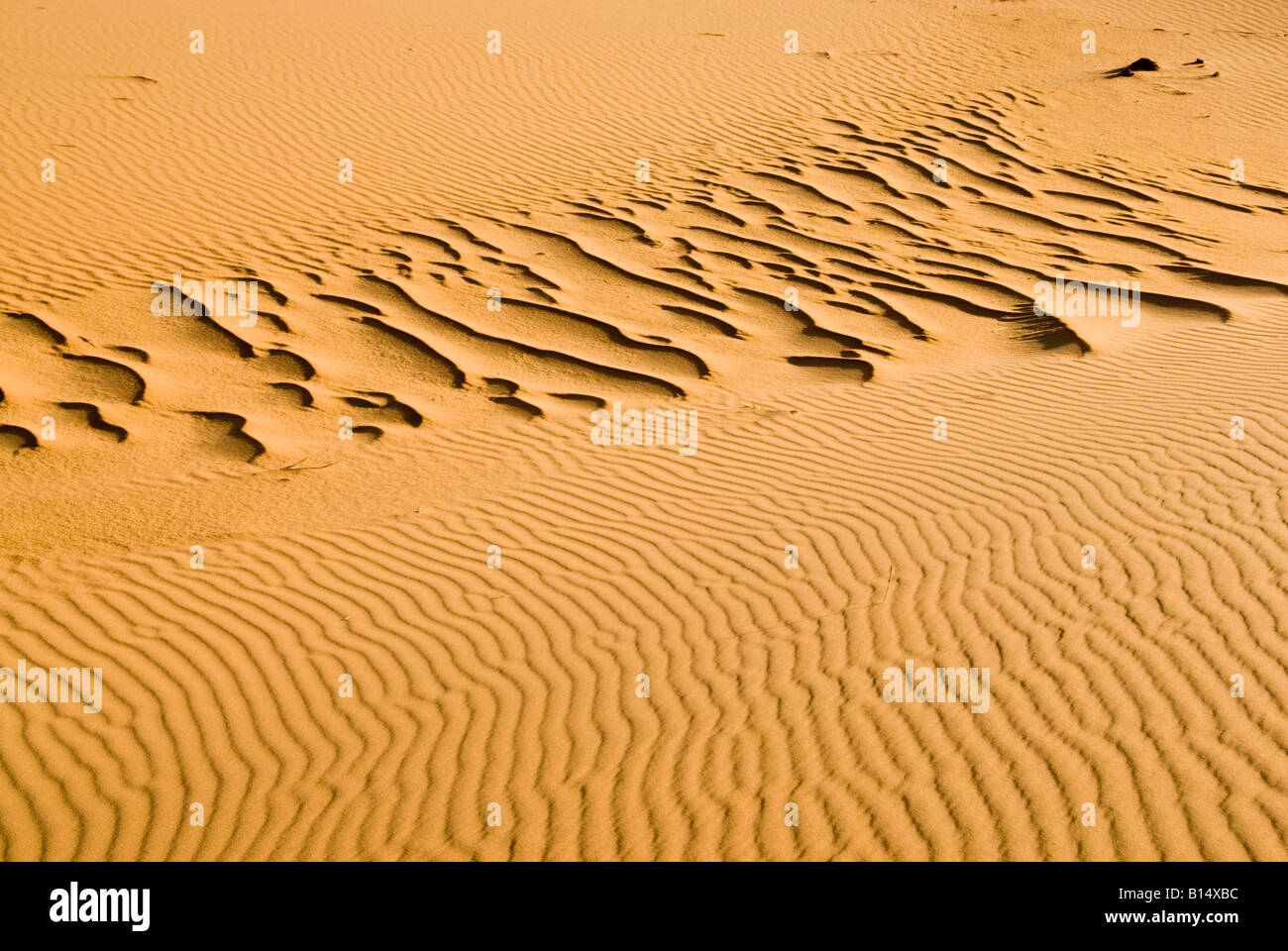 Sand drifts, Idehan Murzuq, Libyan Sahara Stock Photo