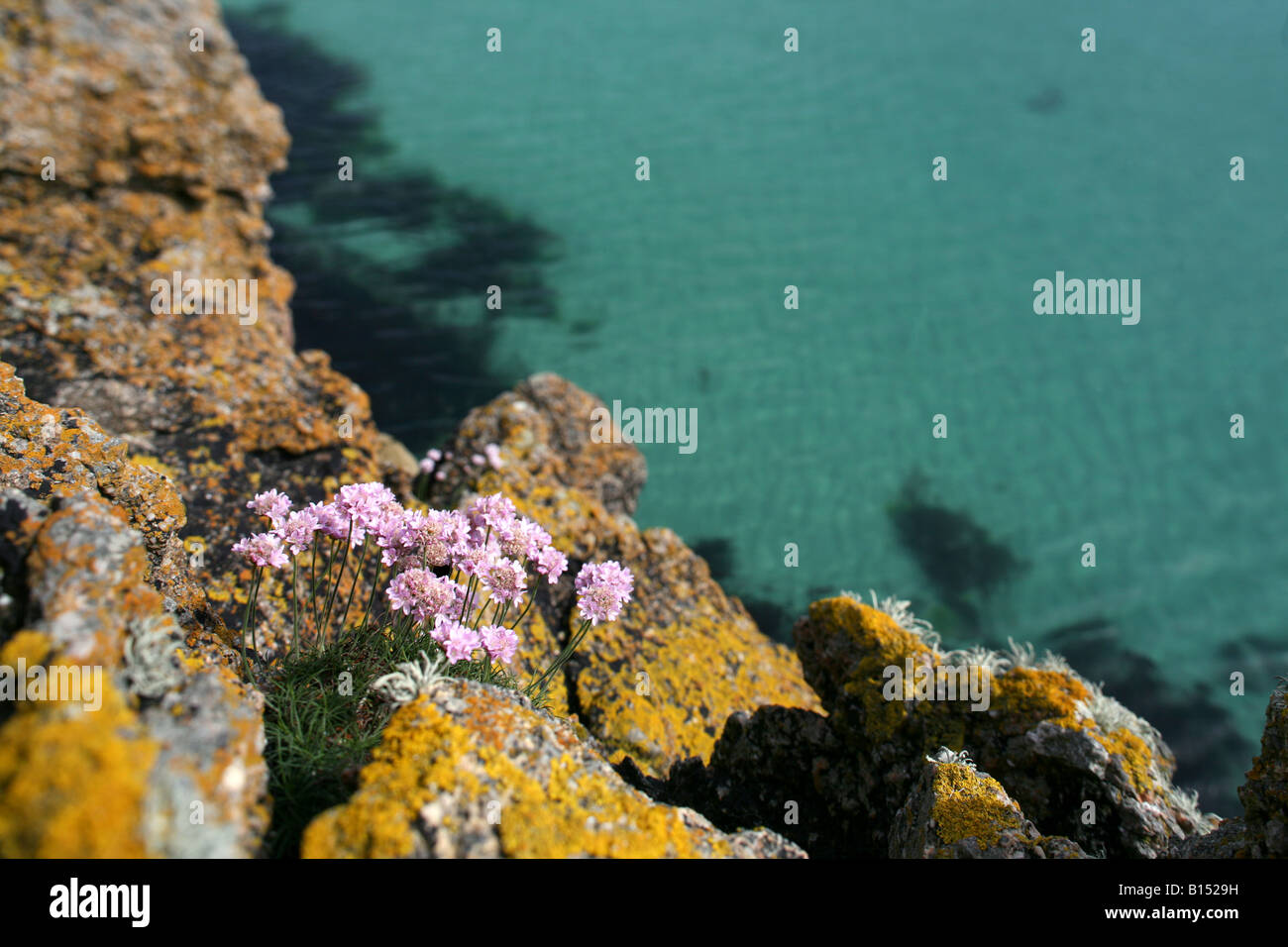 Coastal paths hi-res stock photography and images - Alamy