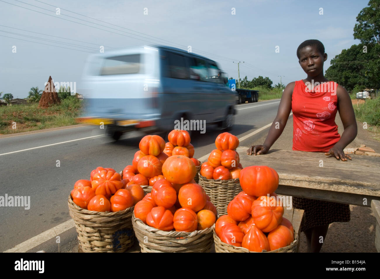 Wholesale traders called market queens control the transport and distribution of tomato, Kuluedor, Ghana Stock Photo
