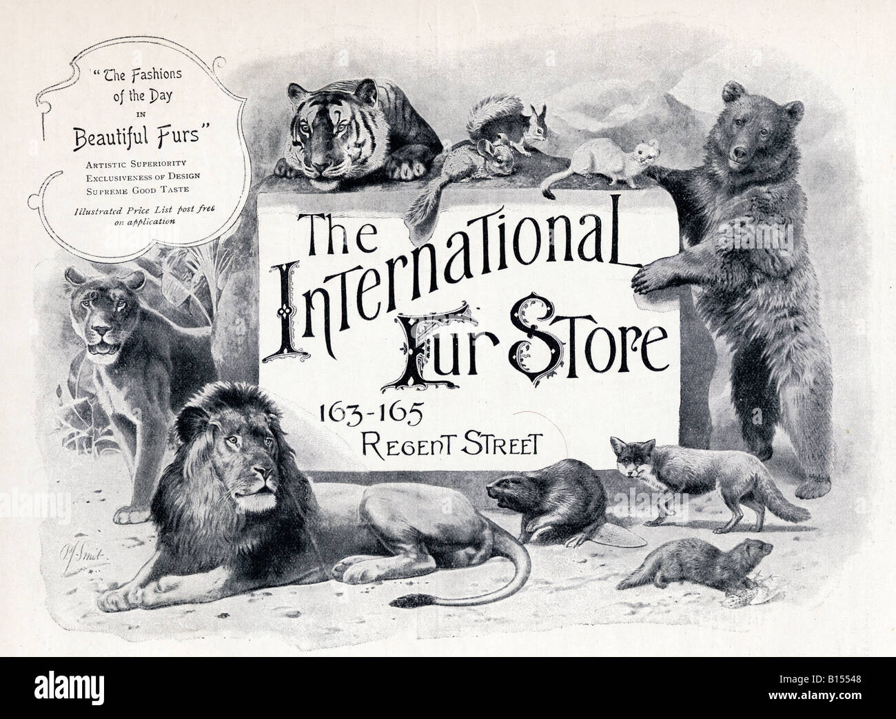 Advertisement for The International Fur Store, from The Connoisseur a Magazine for Collectors, printed November 1902. Stock Photo