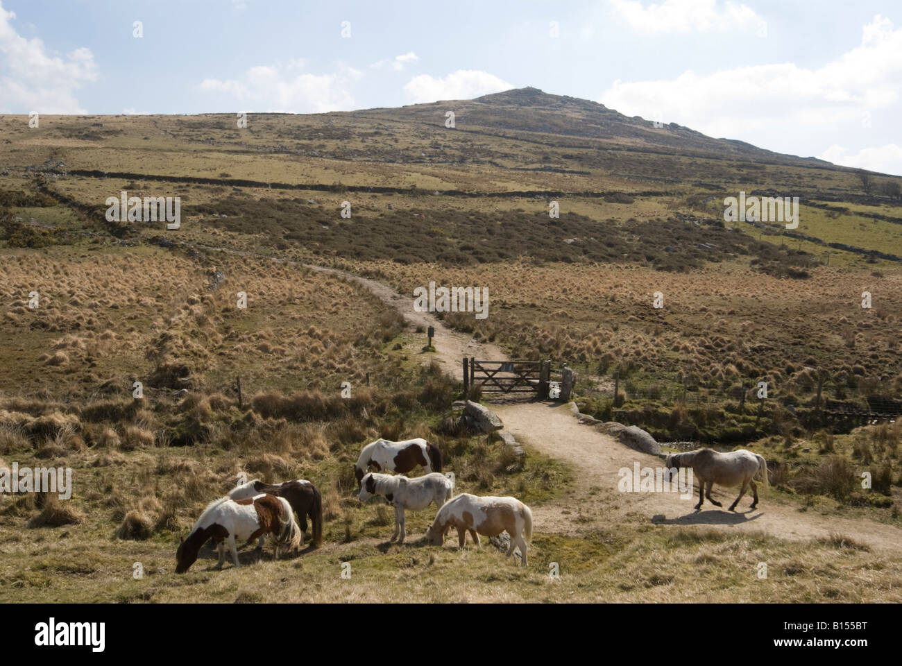 Brown Willy on Bodmin Moor from Rough Tor Stock Photo Alamy