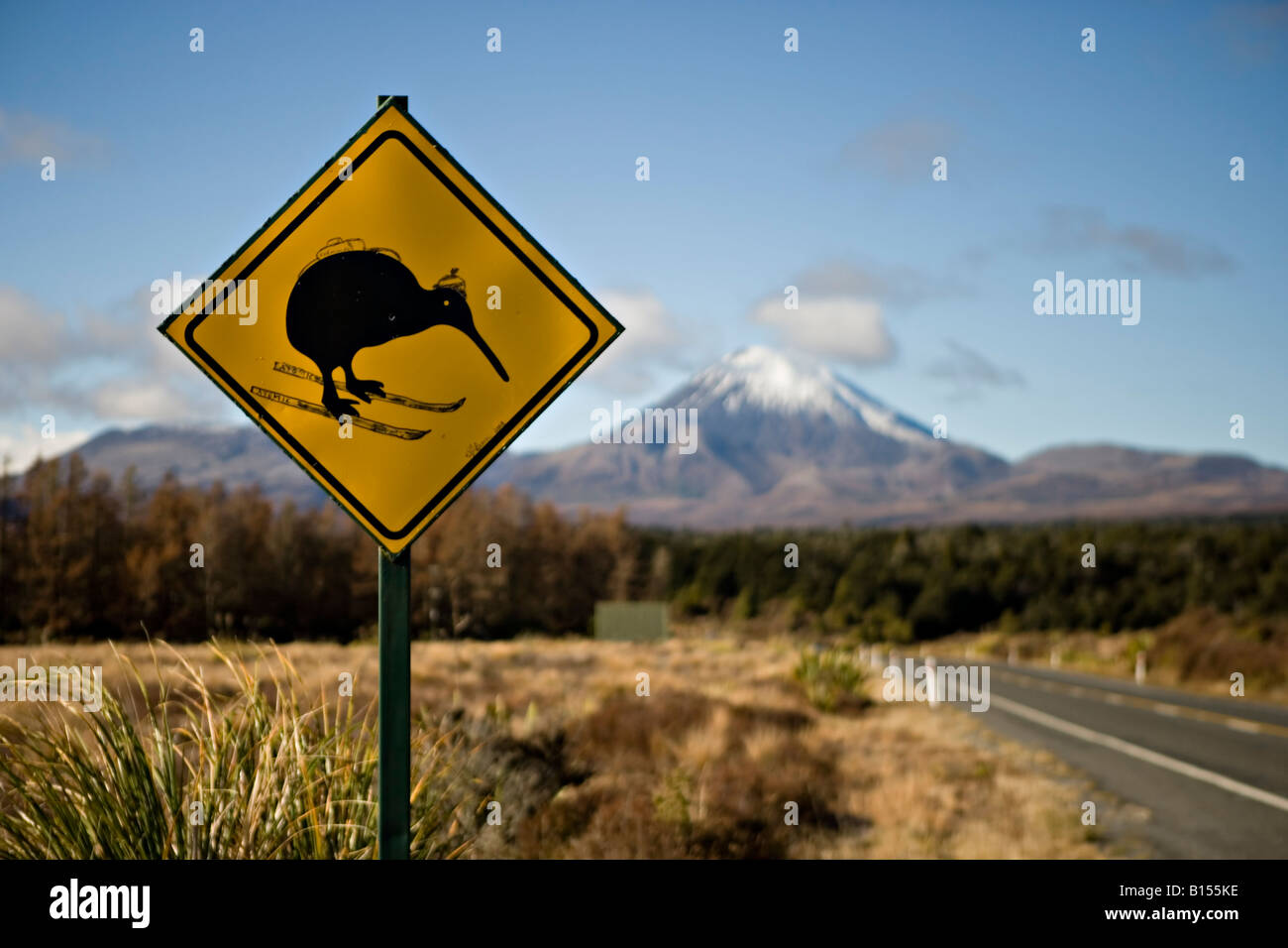 Defaced roadsign alerting drivers to beware of running over Kiwis Stock Photo