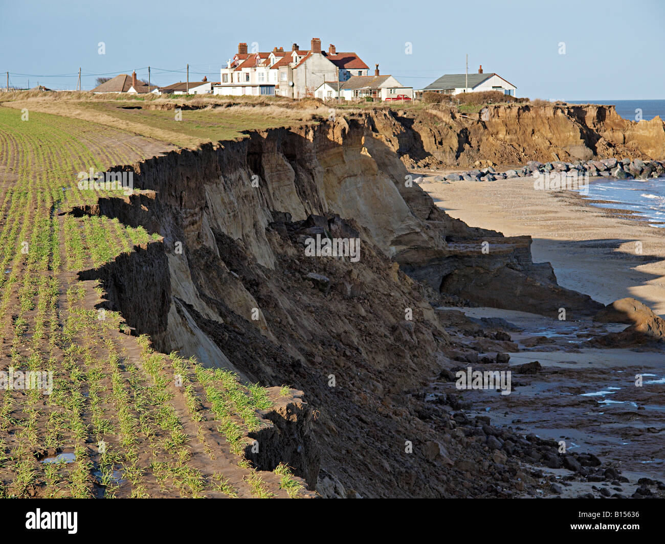 WINTER CEREAL CROPS SOWN ON CLIFF TOP,NEW FRESH EROSION ERODING INTO