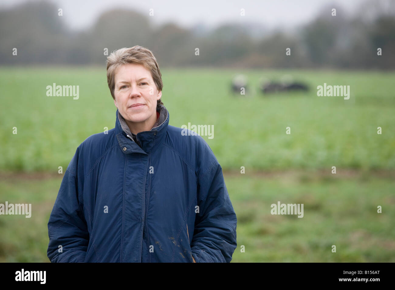 Helen Browning Eastbrook farm Bishopstone Stock Photo
