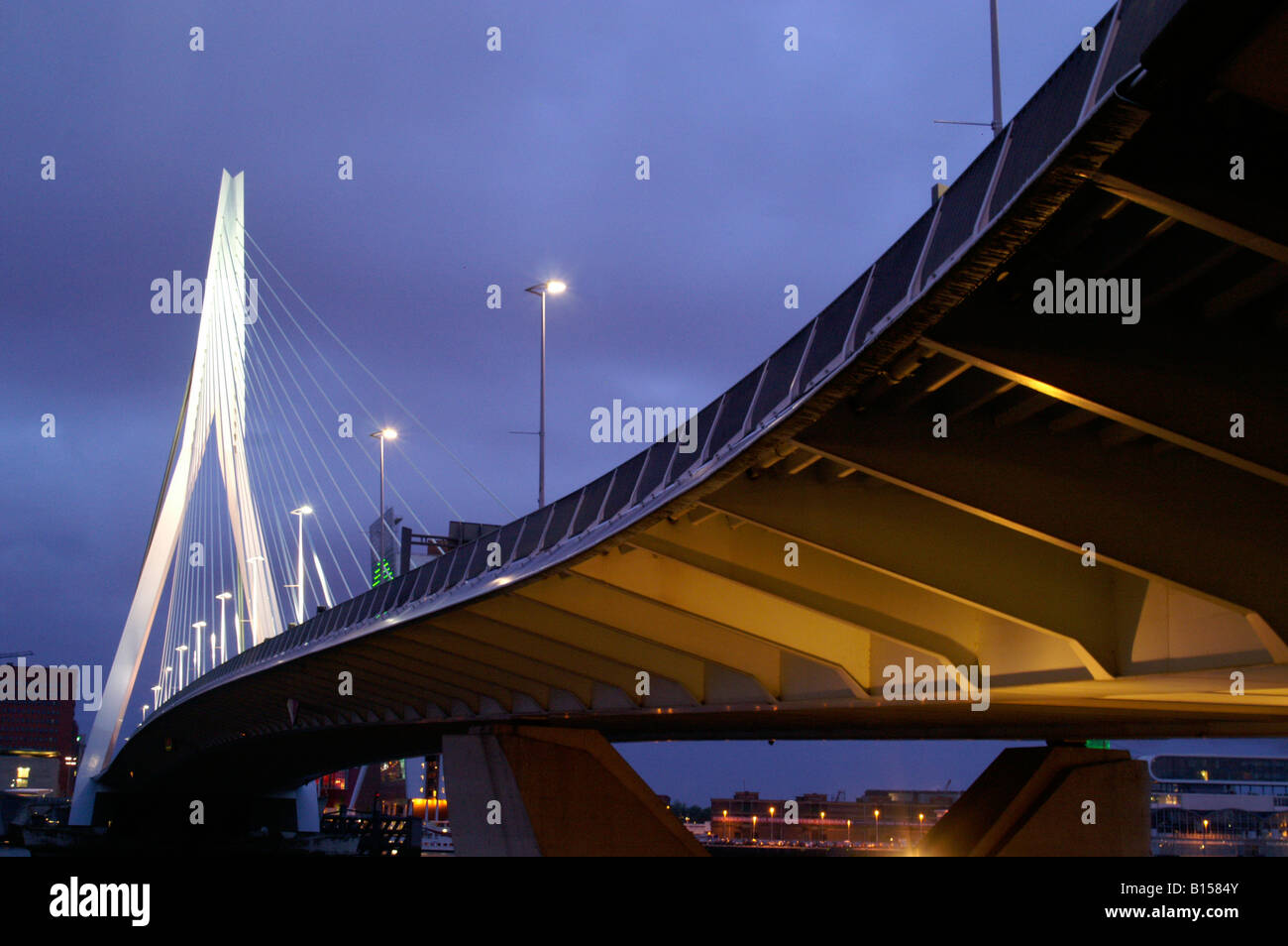 Erasmus bridge evening artificial light pylon mast over river Maas, Rotterdam, Netherlands Stock Photo
