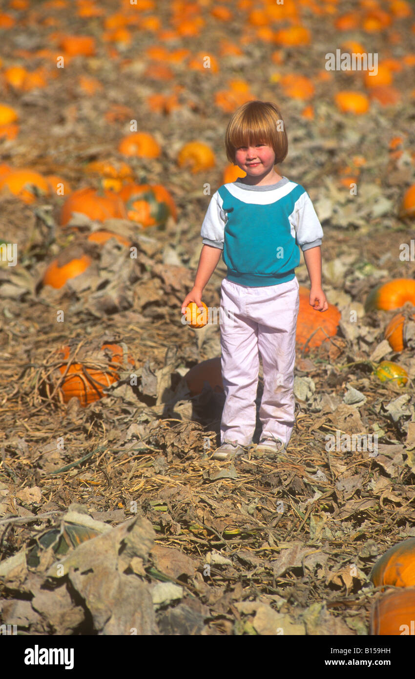 A little redheaded girl stands in a pumpkin patch Stock Photo - Alamy