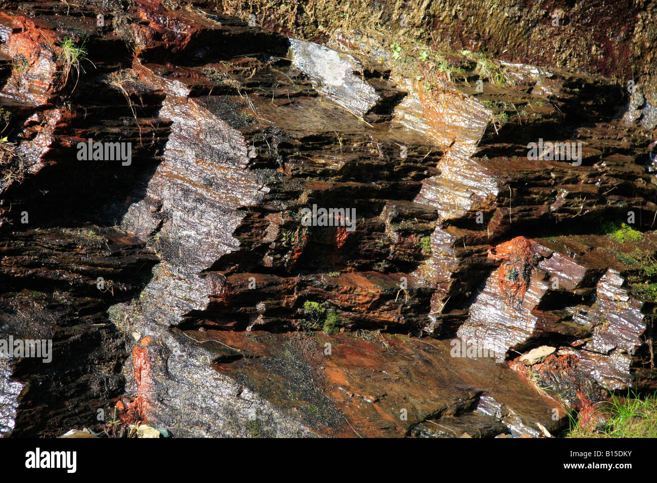 Wet rock face at Boscastle Harbour, Cornwall Stock Photo