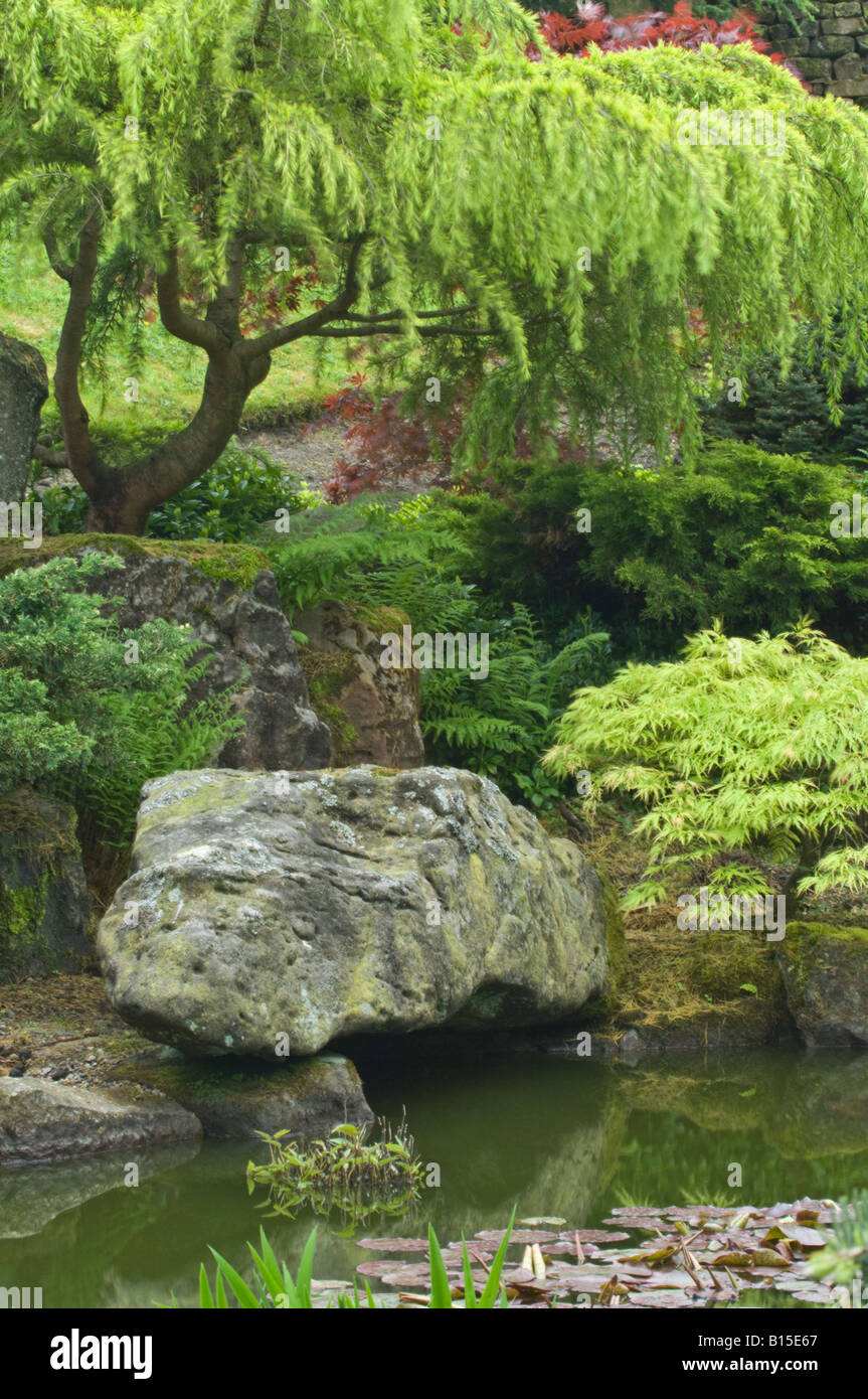 Pond in a Japanese style garden design by Bahaa Seedhom North Yorkshire England May Stock Photo