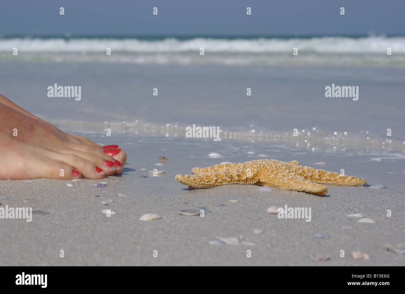 Starfish on the beach with woman foot, waves and sky in background Stock Photo