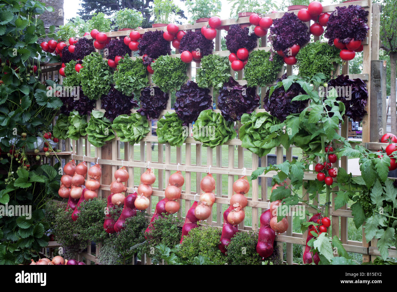 Dublin meath growers hires stock photography and images Alamy