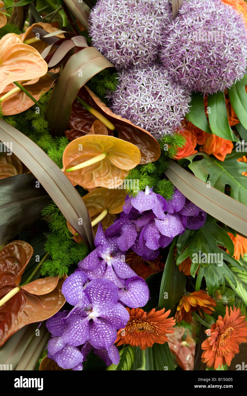 Exotic flower arrangement Stock Photo Alamy