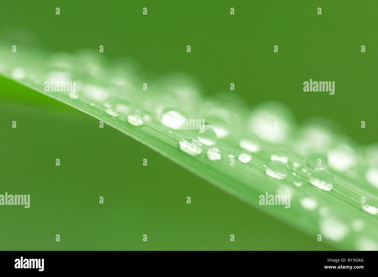 Drop of water Stock Photo - Alamy