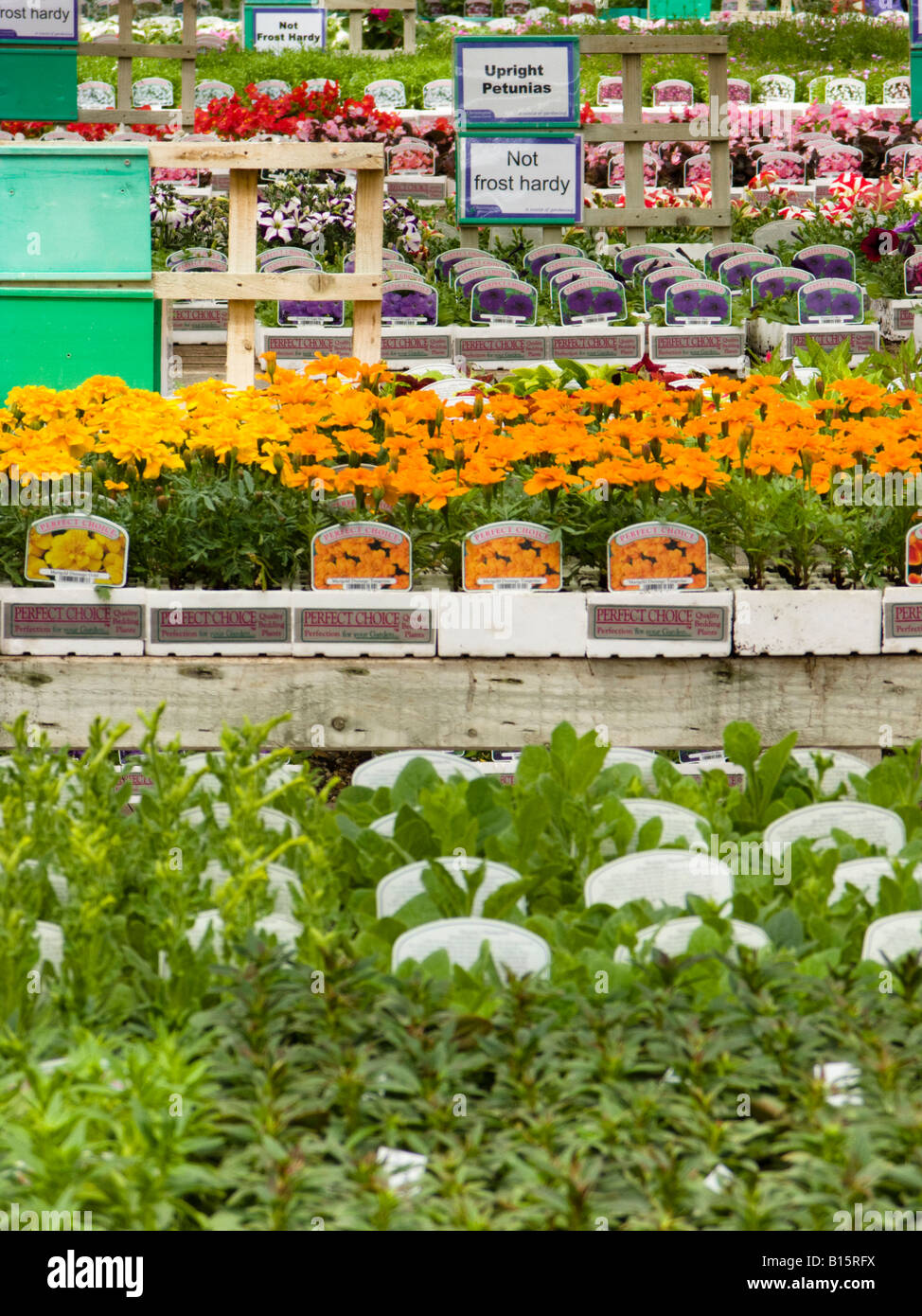 Chessington Garden Centre in Surrey, England Stock Photo Alamy