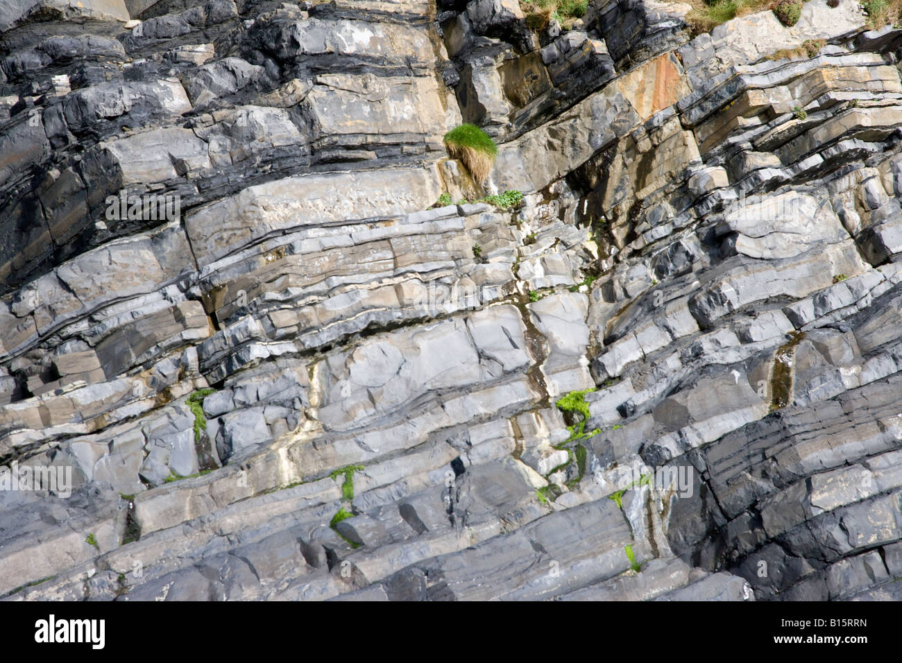 Rock Formations in cliff, Ballybunnion County Kerry, Ireland Stock Photo