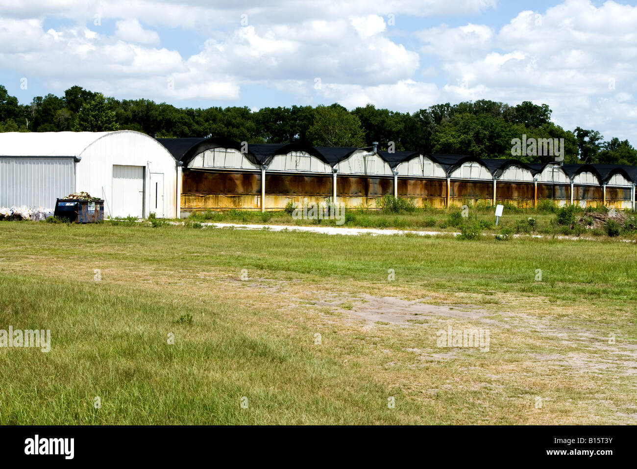 Line of old decaying greenhouses next to a bright white greenhouse near Orlando,Florida Stock Photo