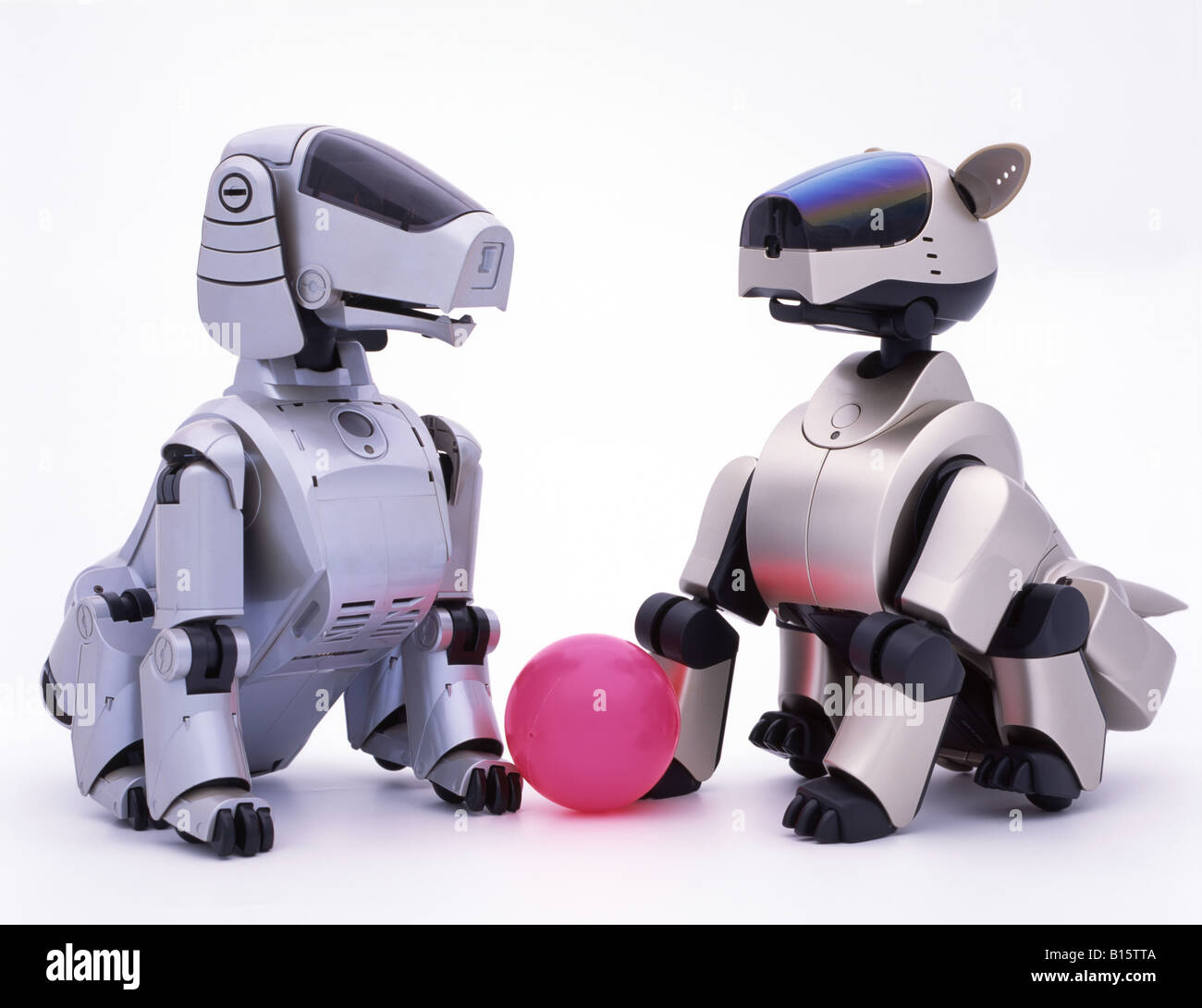 AIBO Artificial Intelligence roBOt ERS-110 & ERS-210 Stock Photo