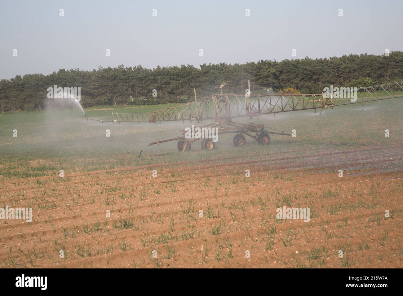 Irrigation sprayer in field of sandy soil suffolk sandlings hires
