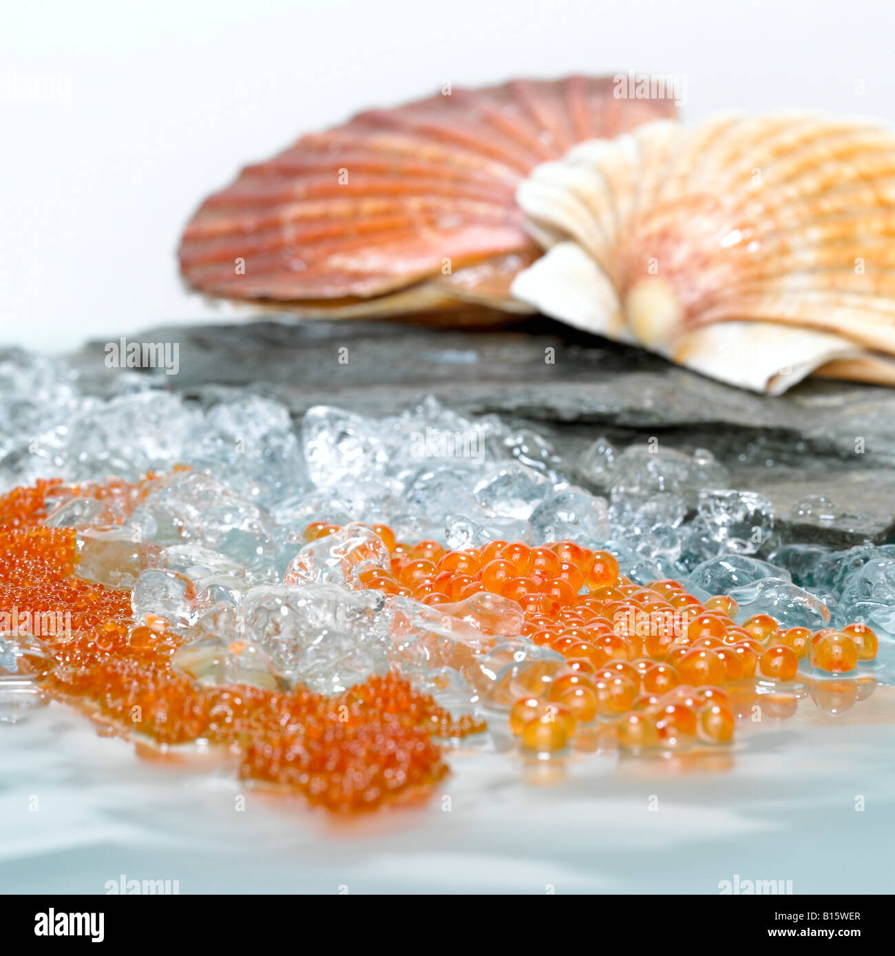 Trout Caviar on crushed ice, in background scallop shells Stock Photo