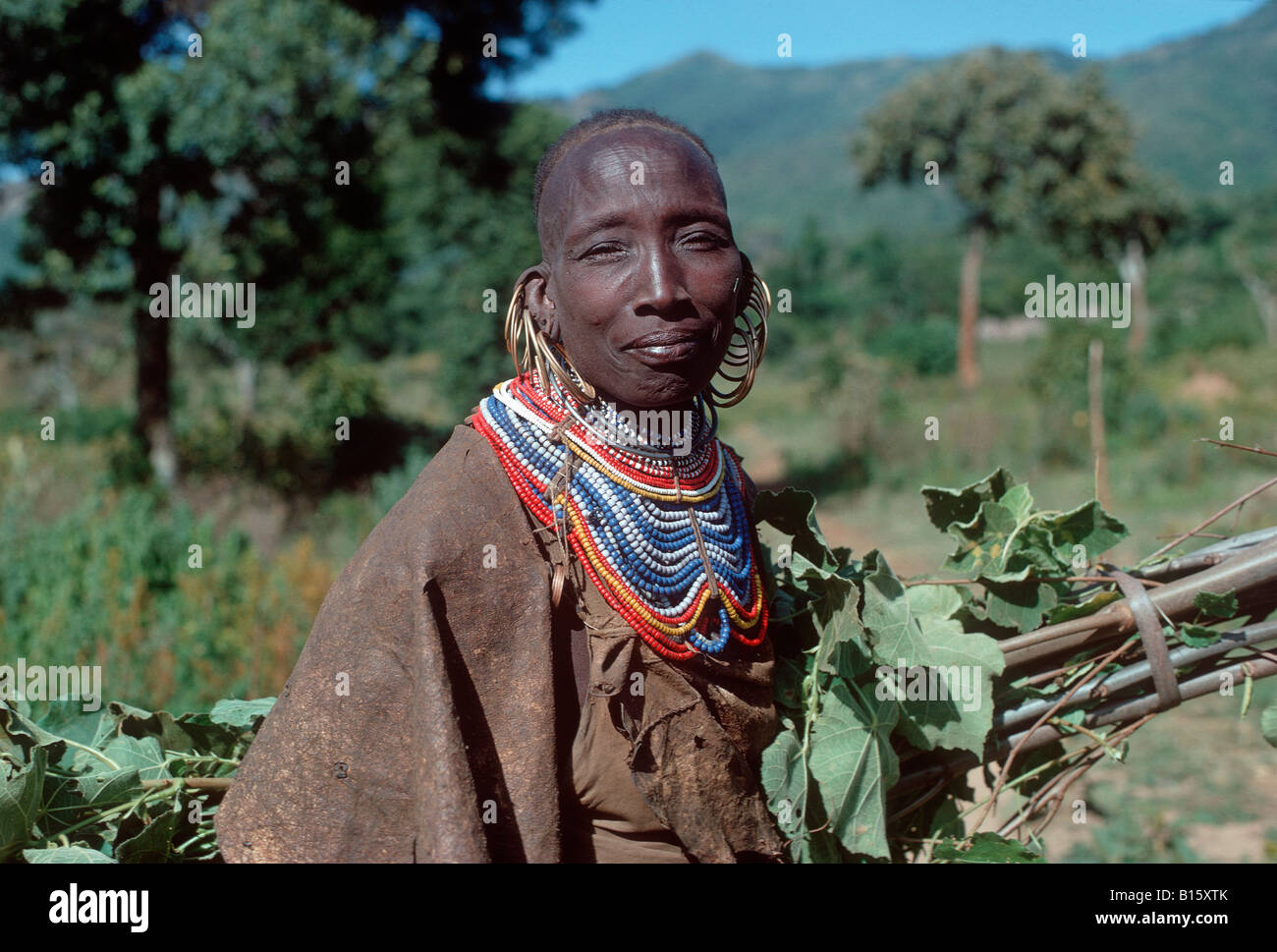 Portrait of West Pokot woman in tribal dress carrying branches to feed ...