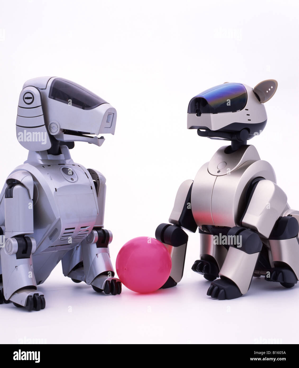 AIBO Artificial Intelligence roBOt ERS-110 & ERS-210 Stock Photo