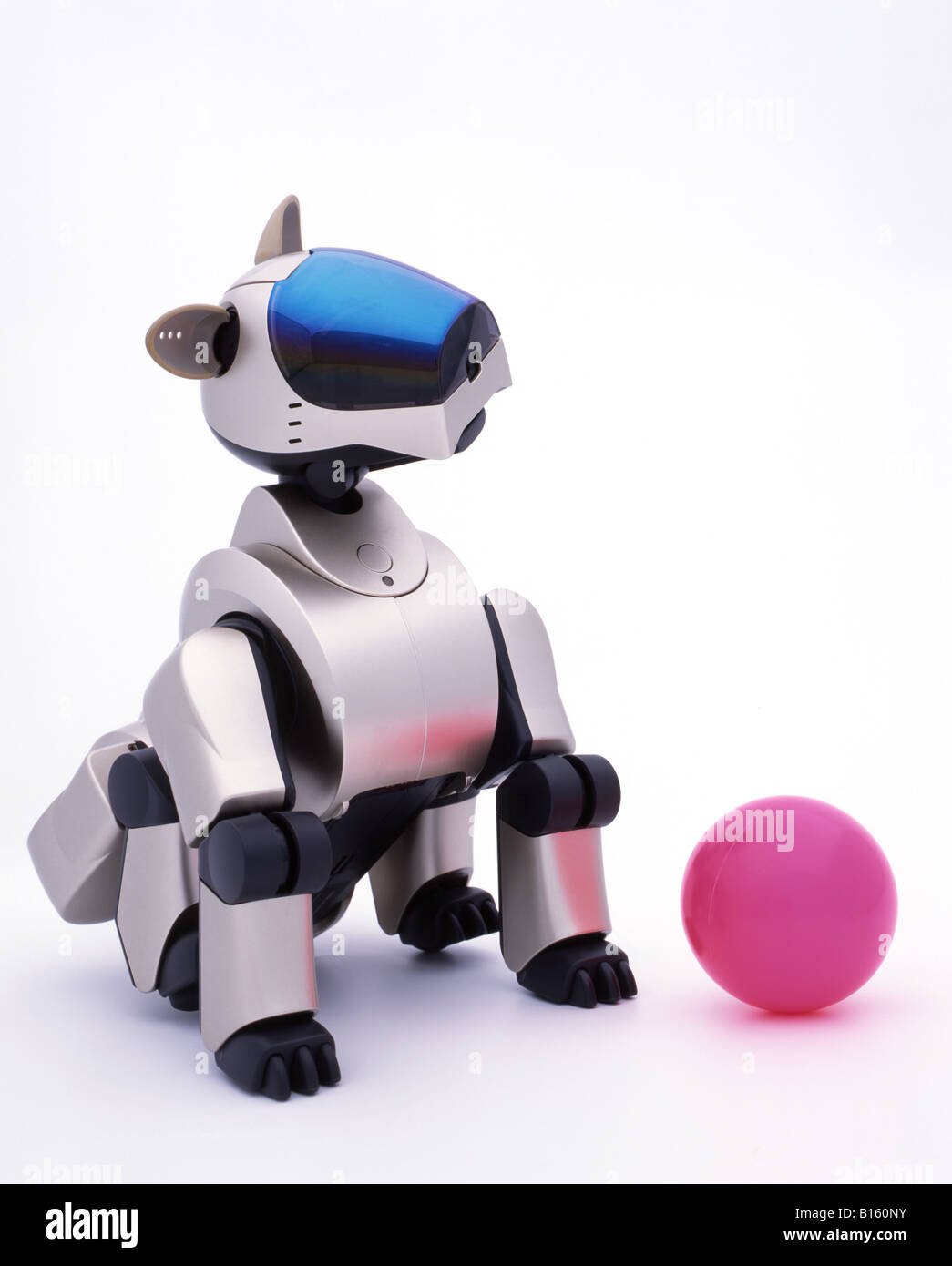 Immagini Stock - Cane Robot Con Osso Ai. Image 206367459