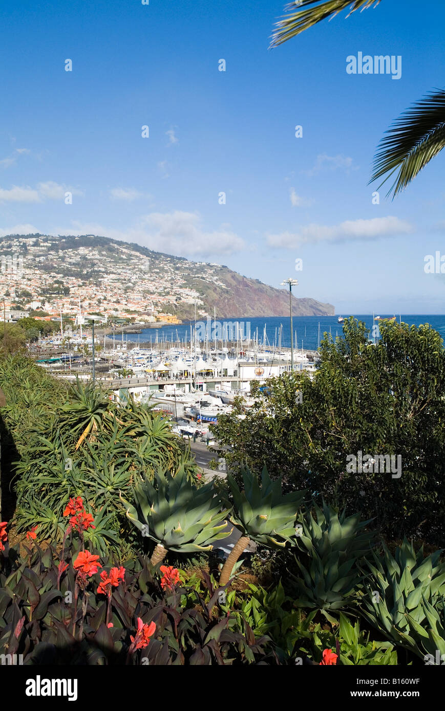 dh Funchal harbour FUNCHAL MADEIRA View of Funchal marina from Parque de Santa Catarina gardens springflowers viewing point Stock Photo