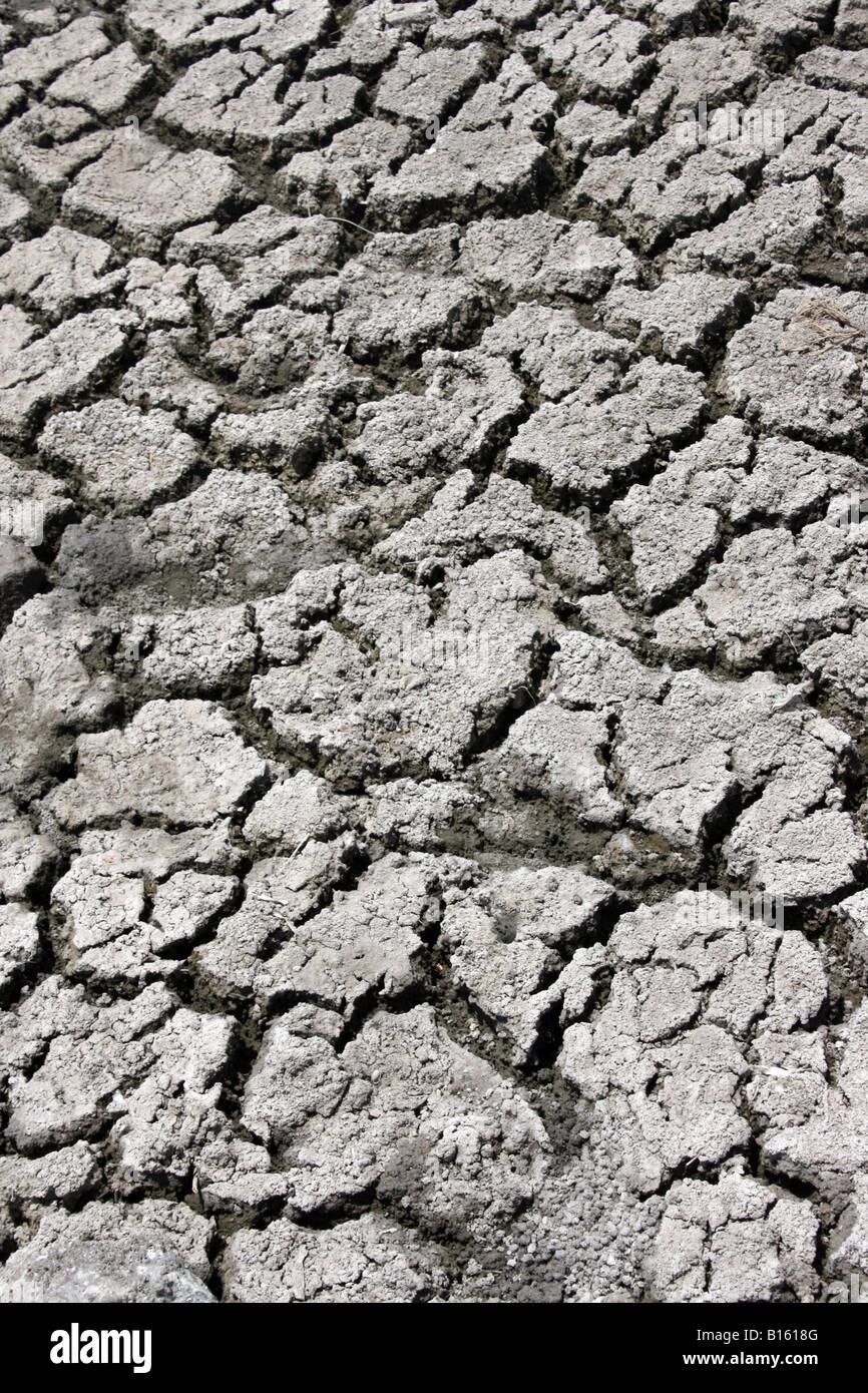 parched land Stock Photo