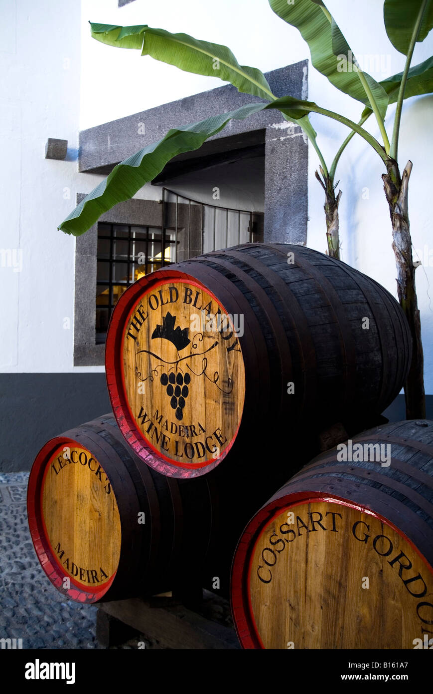 dh Adegas de Sao Francisco FUNCHAL MADEIRA Madeira wine barrels in monastery courtyard cask barrel blandy lodge museum Stock Photo
