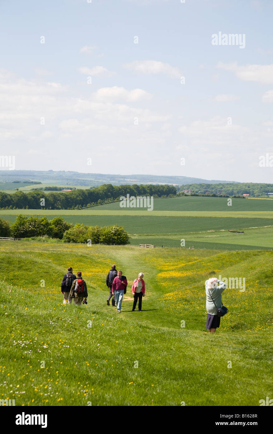 take a lot walking rings