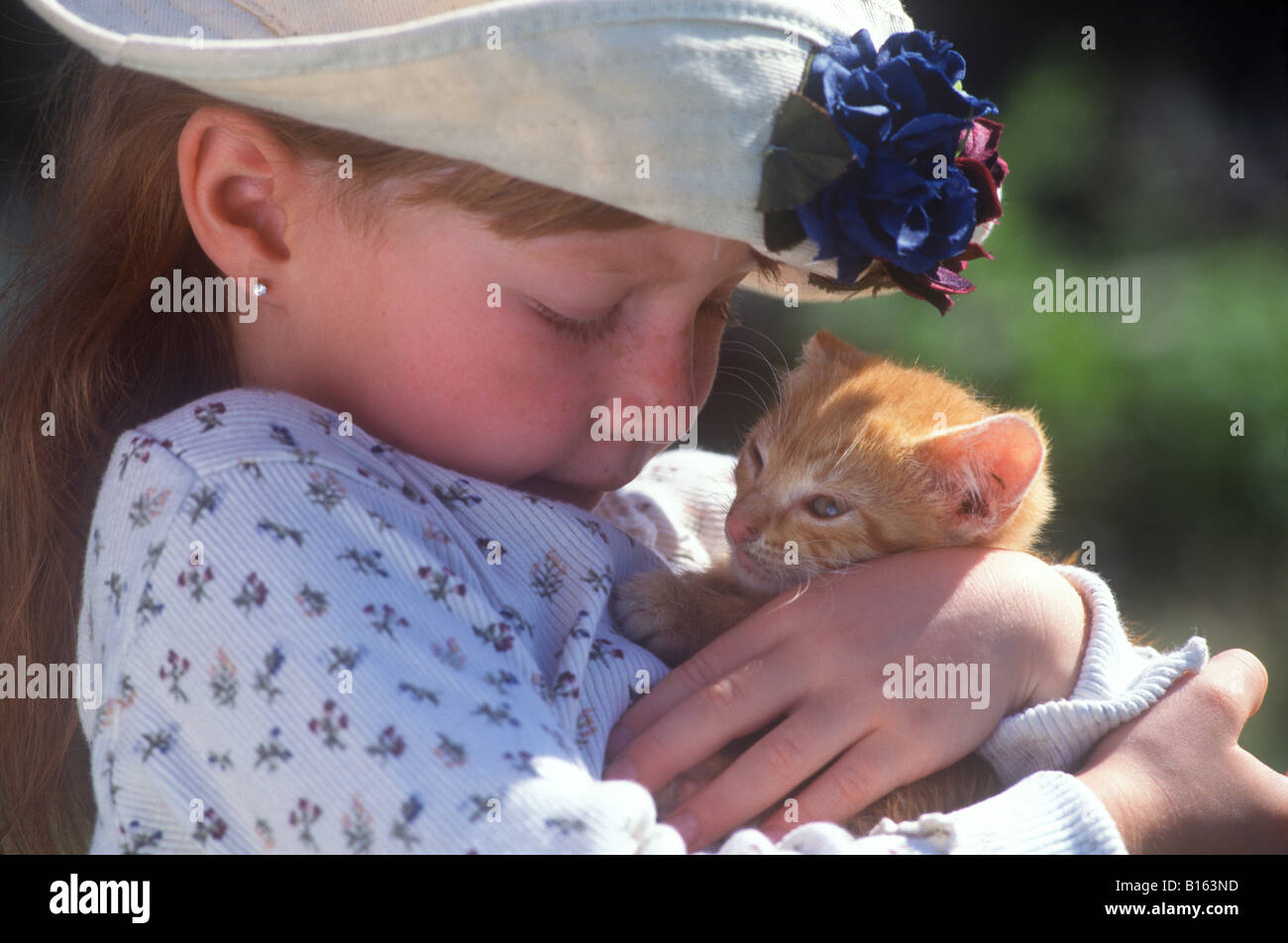 A little girl cuddles a tabby kitten Stock Photo