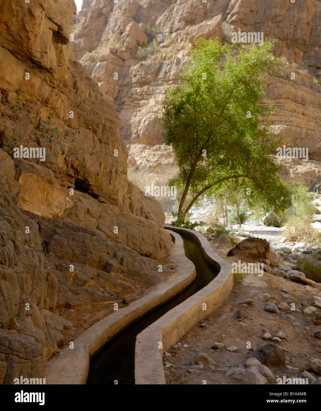 Looking up the Wadi al Muaydin in the Jabal al Akhdar massif of the
