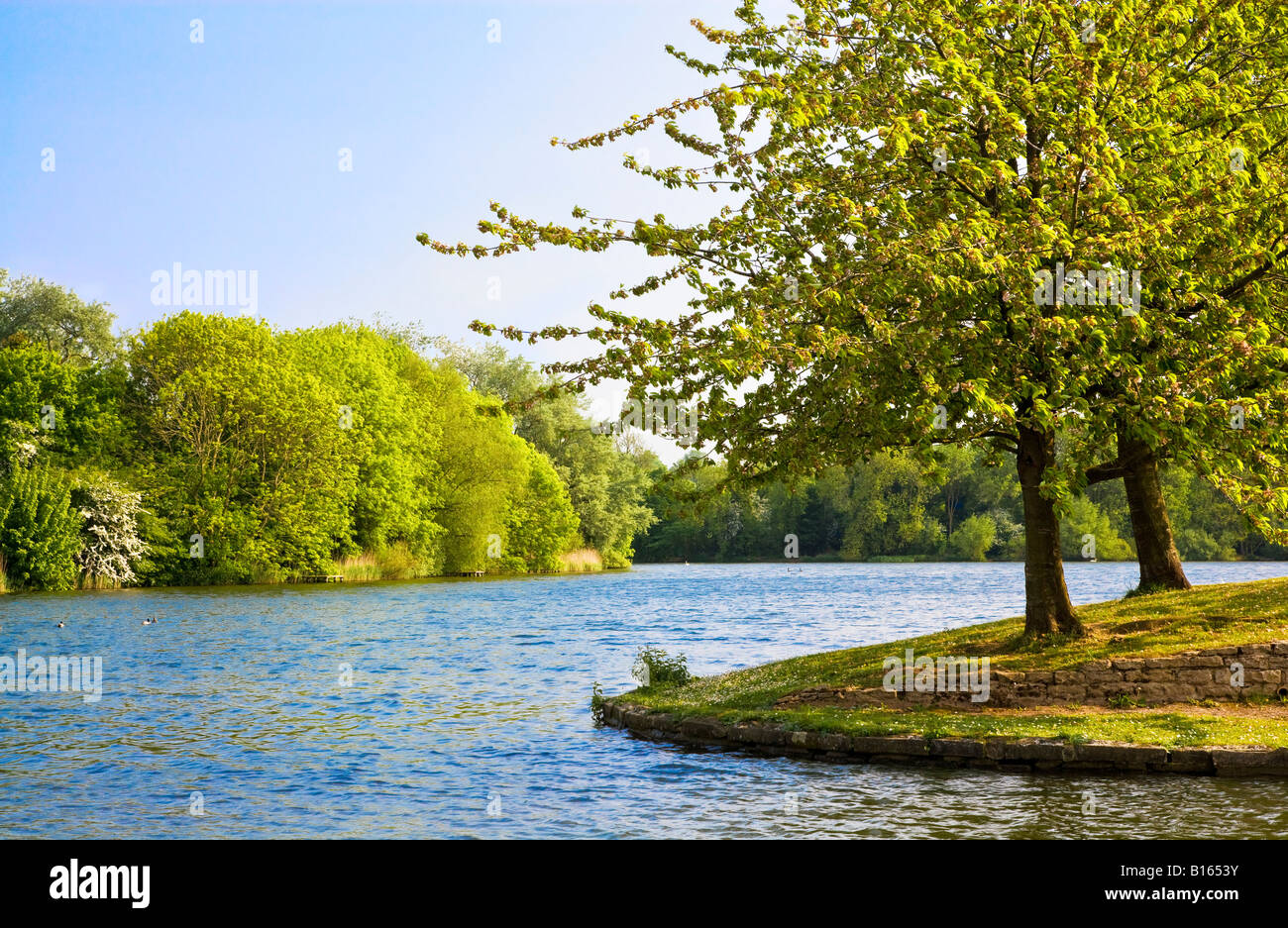 The lake on a sunny day in summer at Coate Water Country Park, a local nature reserve near Swindon, Wiltshire, England, UK Stock Photo