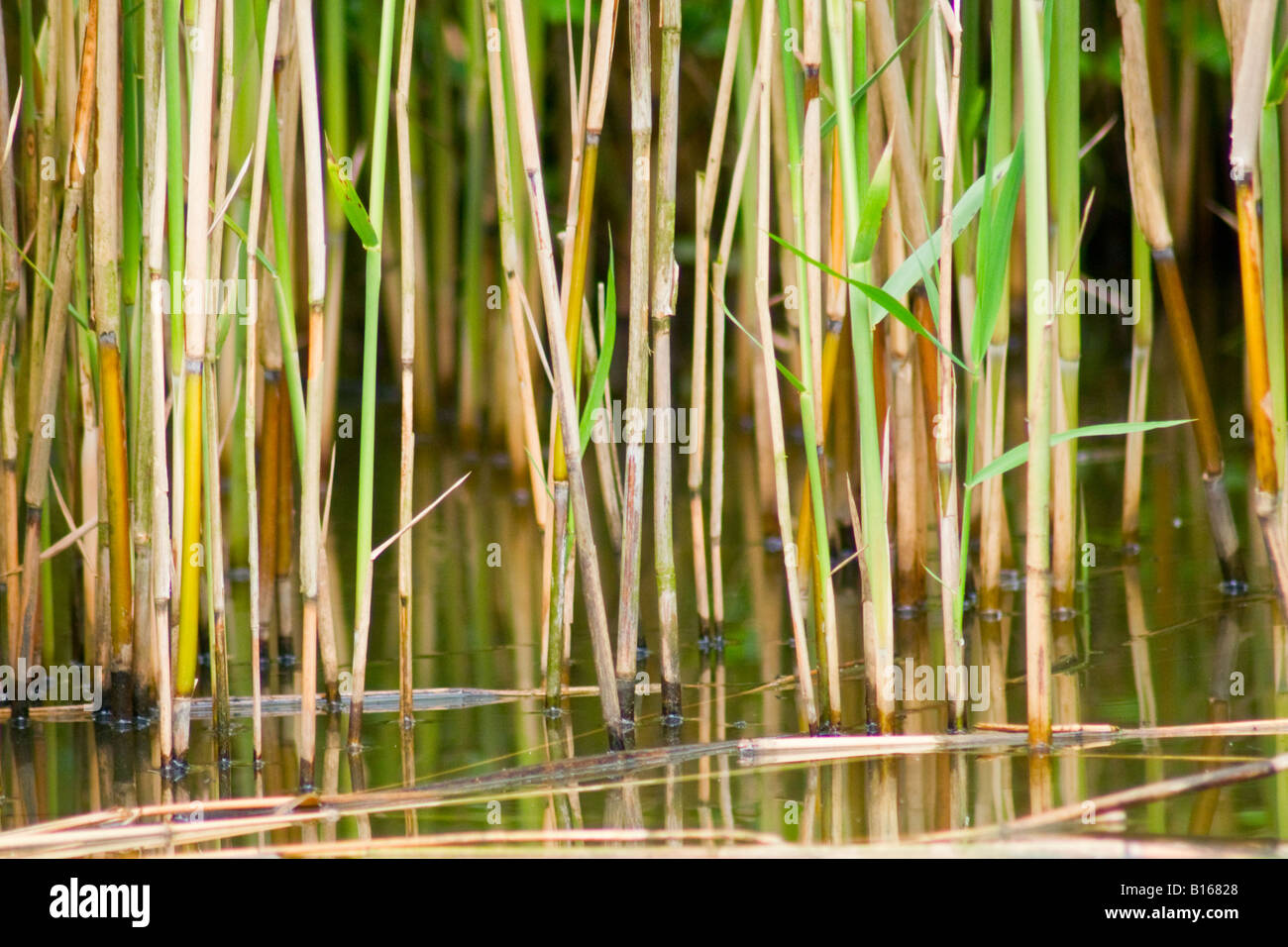 From bank side hi-res stock photography and images - Alamy