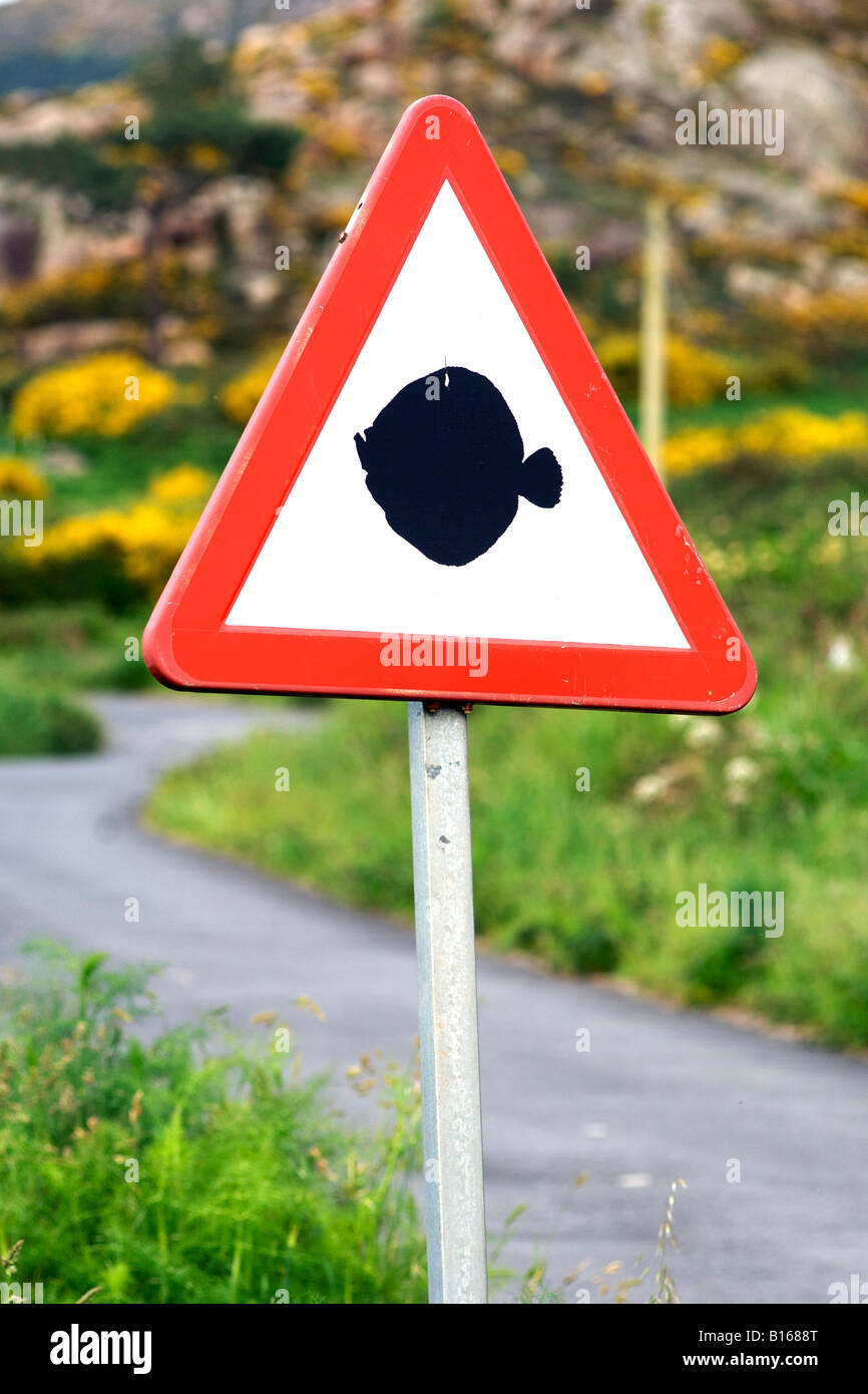 Road sign with fish outline in the Galicia region of Spain. Stock Photo