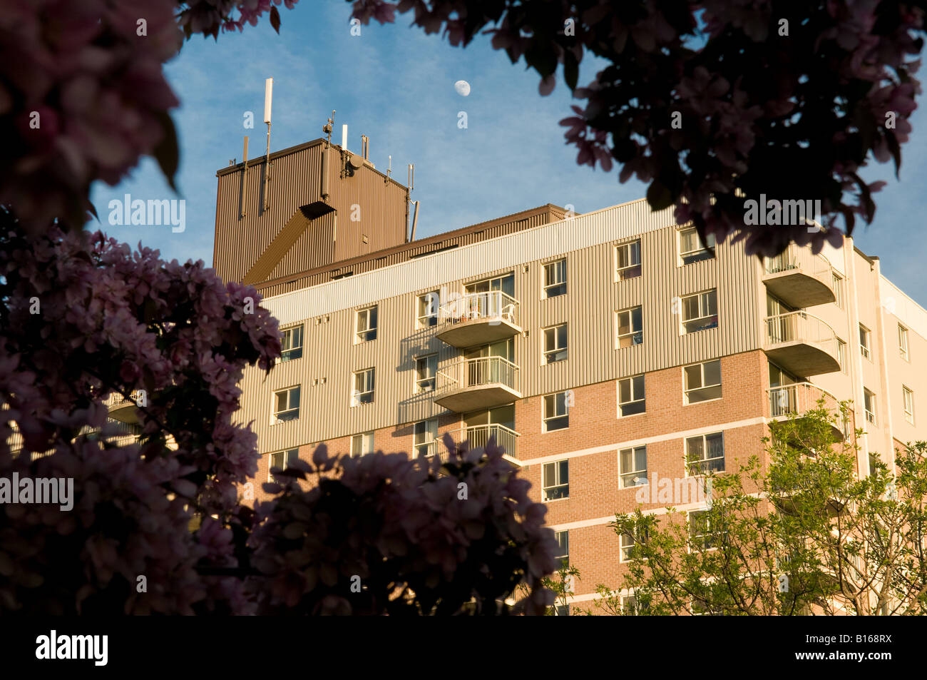 A 12 story private residential apartment building in Kingston, Ontario