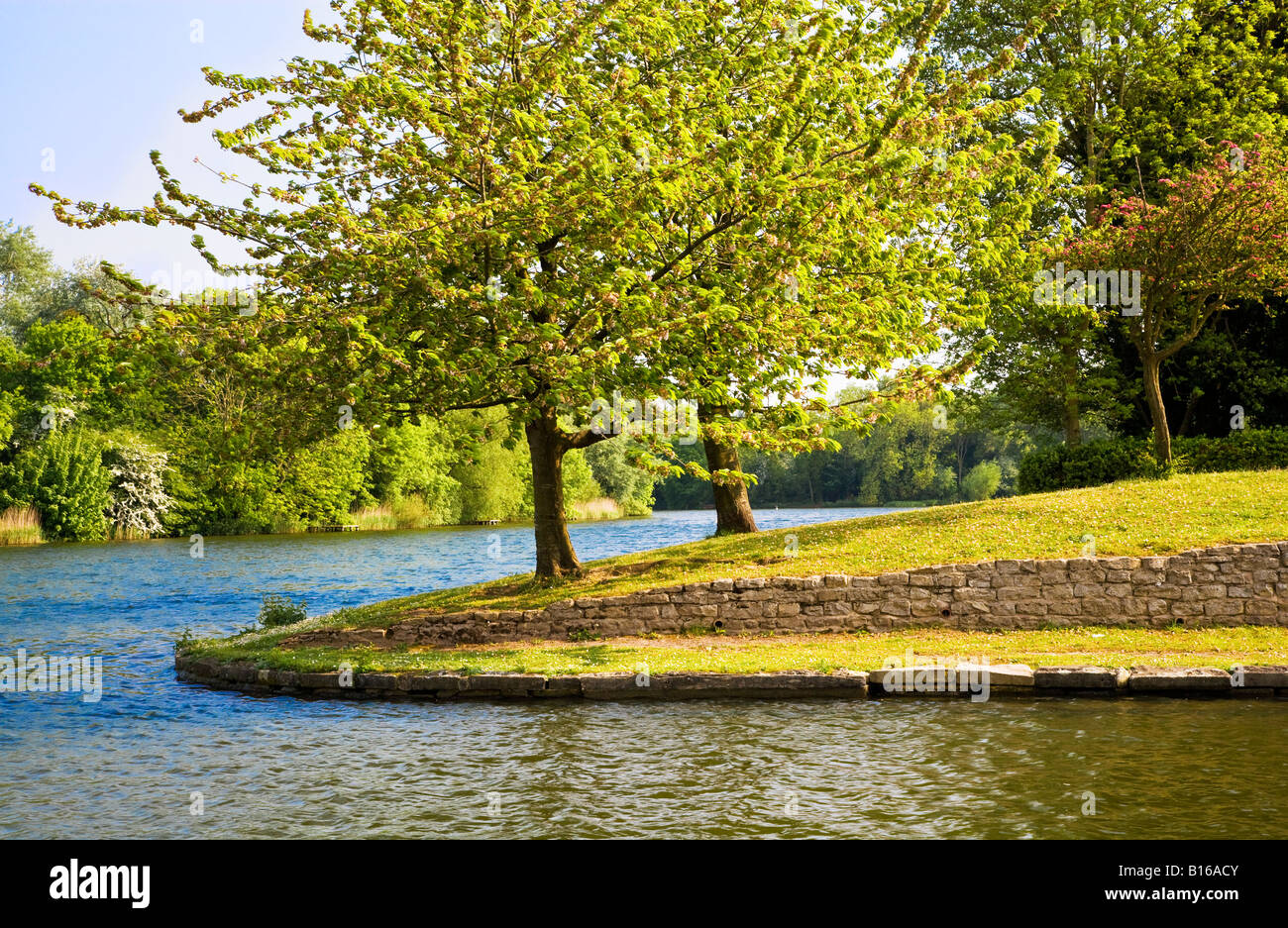 The lake on a sunny day in summer at Coate Water Country Park, a local nature reserve near Swindon, Wiltshire, England, UK Stock Photo